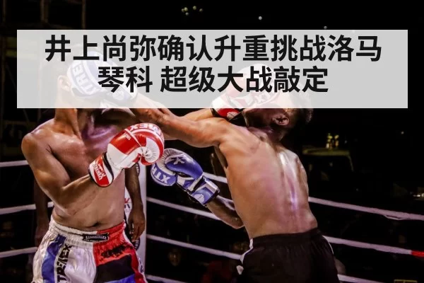 boxer training gloves